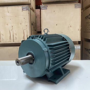 Motor VTC 10HP 380v tua 1450