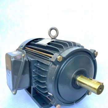 Motor VTC 10Hp 380v tua 1450