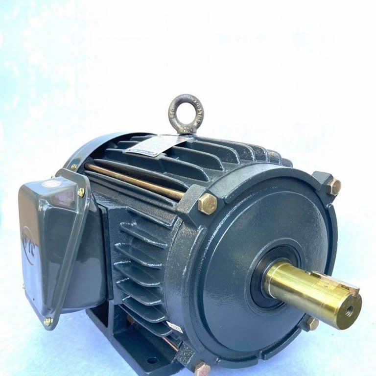 Motor VTC 10Hp 380v tua 1450