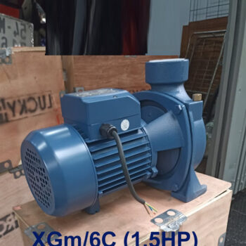 Máy bơm Lucky Pro 1.5HP họng 90