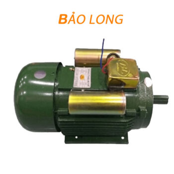 Motor Bảo Long