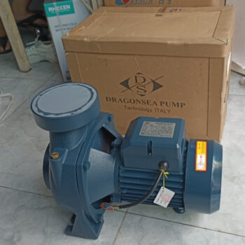 Máy bơm Dragonsea 2HP họng 114 (SHFm-6BR)