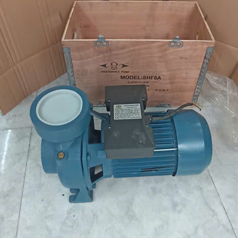 Máy bơm Dragonsea 3Hp họng 90