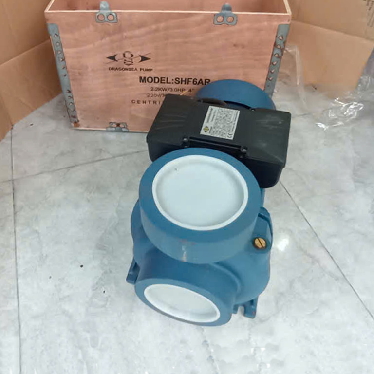 Máy bơm nước Dragonsea 3 ngựa họng 114