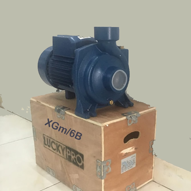 Máy bơm Lucky Pro 2HP họng 90