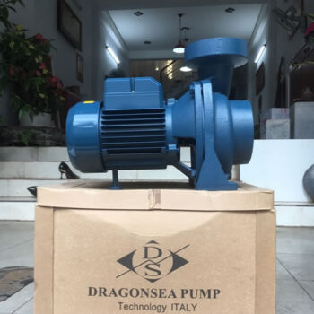 MÁY BƠM DRAGONSEA 3HP HỌNG 90